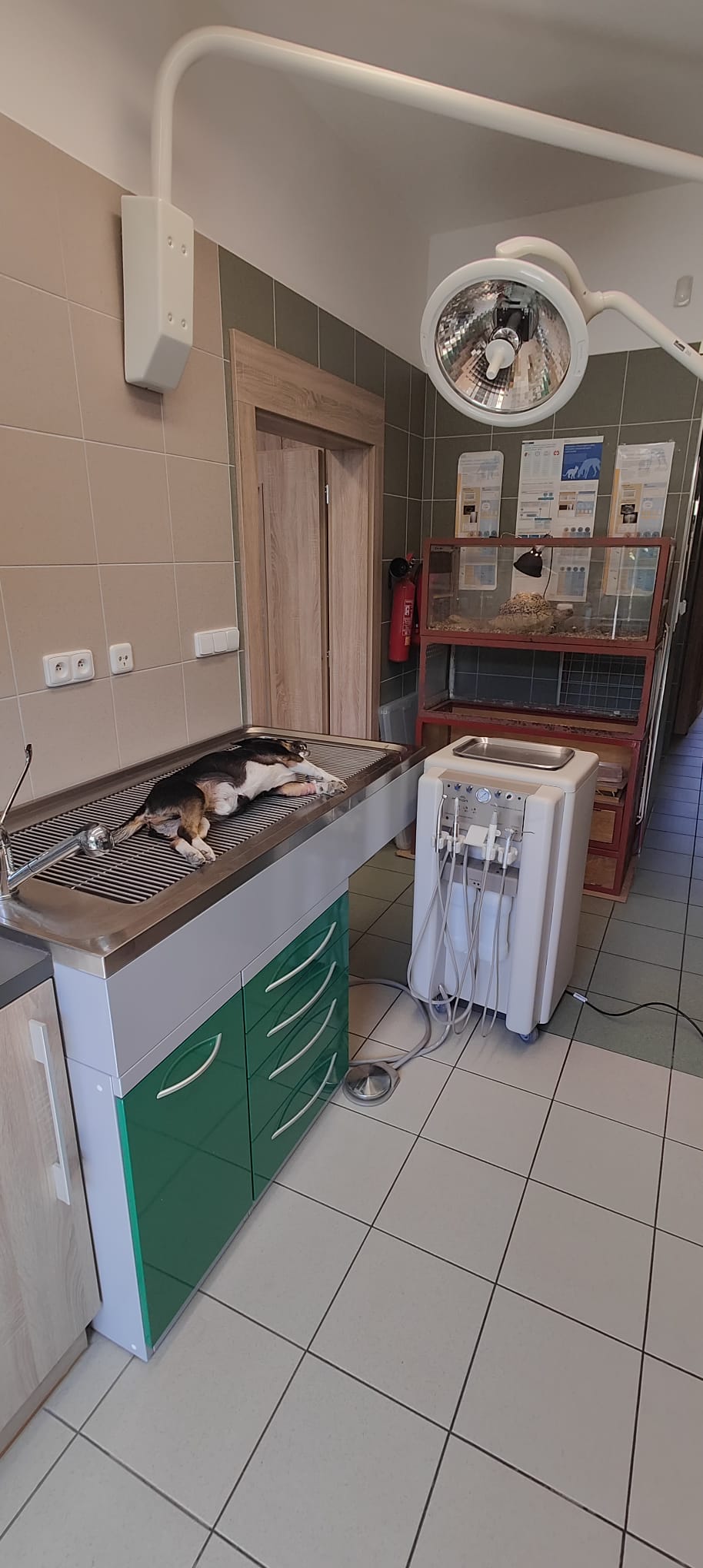 Dentální jednotka, zubní ultrazvuk, vrtačka, leštění zubní pastou ORDINACE